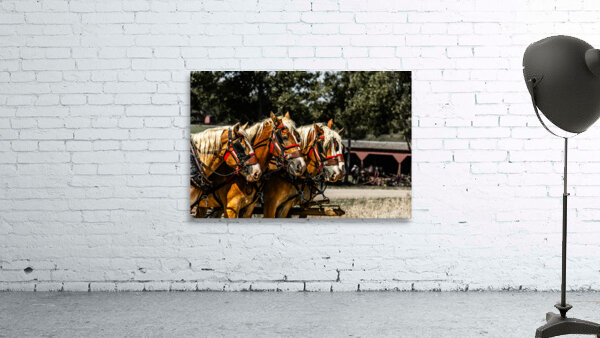 Working Horses -3 Wall Preview