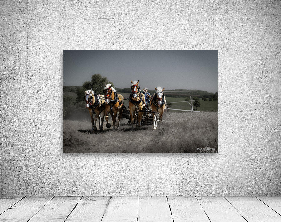 Working Horses -4 Wall Preview