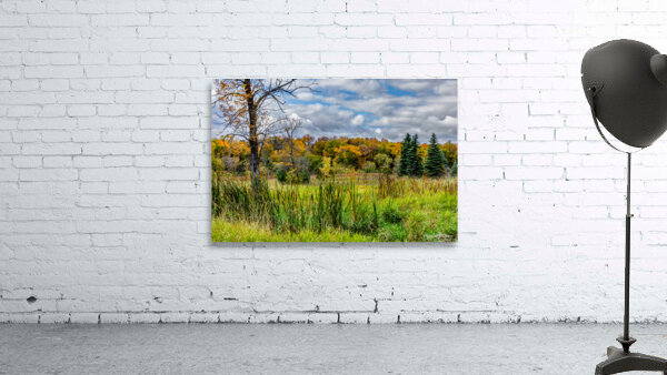 Meadow1 Wall Preview