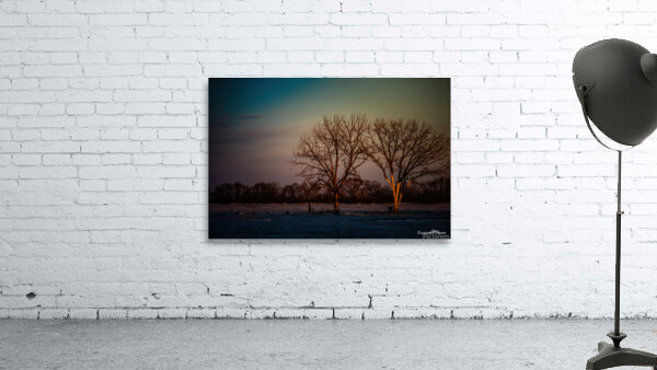 Winter Trees1 Wall Preview