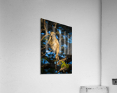 baboon 03 Acrylic Print