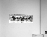 elephant 01 Acrylic Print