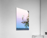 Great egret 01 Acrylic Print
