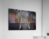 elephant 03 Acrylic Print