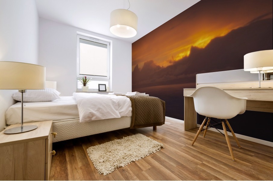 Plane at sunset Mural print