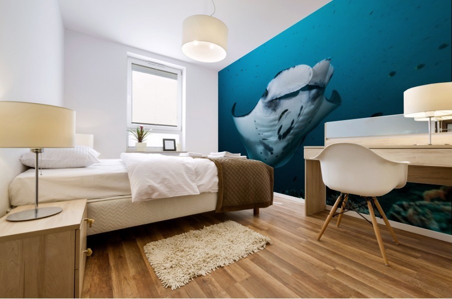 manta ray 02 Mural print