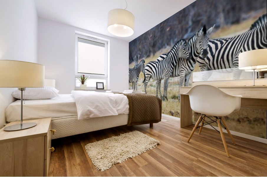 zebra 01 Mural print