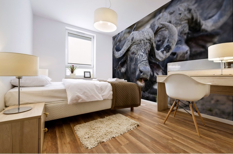 buffalo 02 Mural print