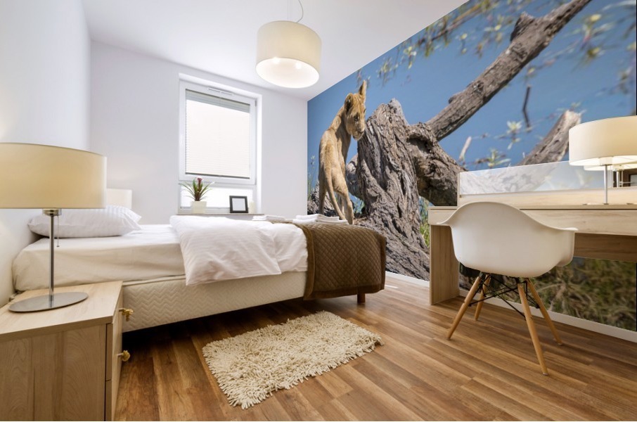 Lion cub 02 Mural print