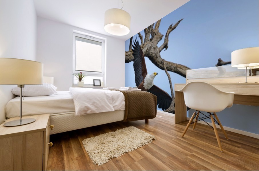 african fish eagle Mural print
