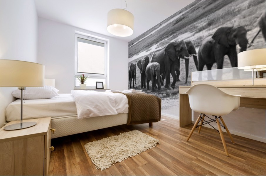 elephant 01 Mural print