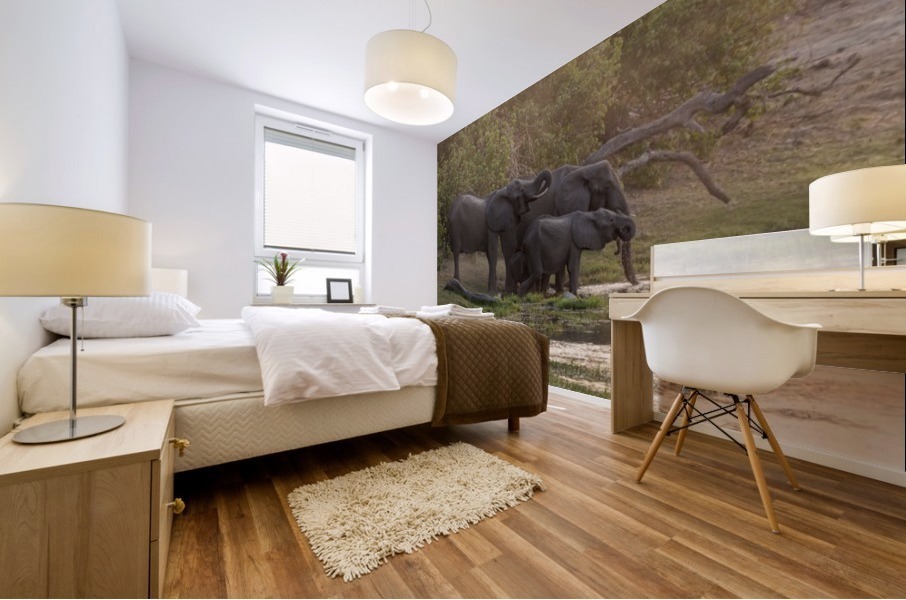elephant 02 Mural print