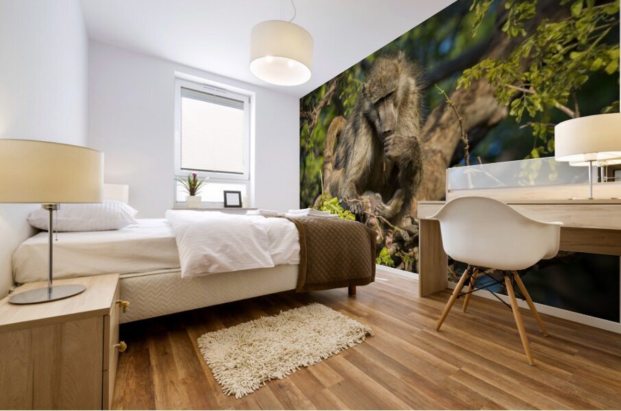 baboon 02 Mural print