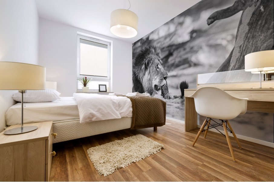 lion 01 Mural print