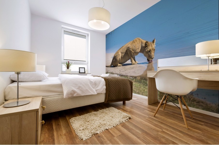 lioness 01 Mural print