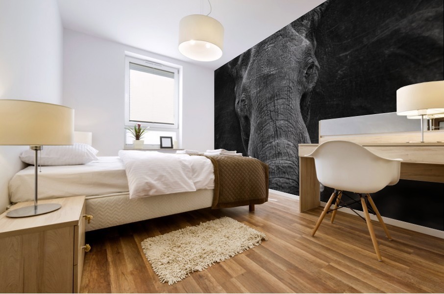 elephant 03 Mural print