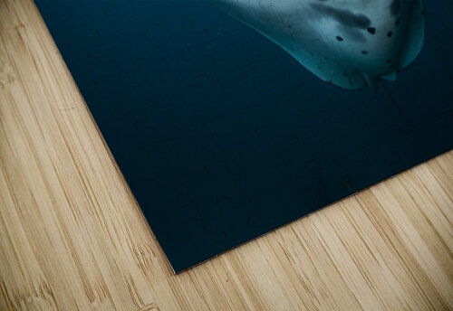 manta ray 02 Sylvain Girardot puzzle