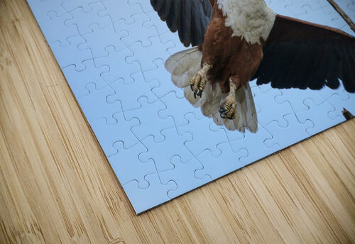 african fish eagle Sylvain Girardot puzzle
