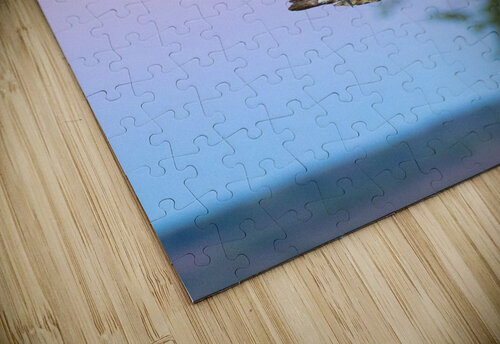 Great egret 01 Sylvain Girardot puzzle