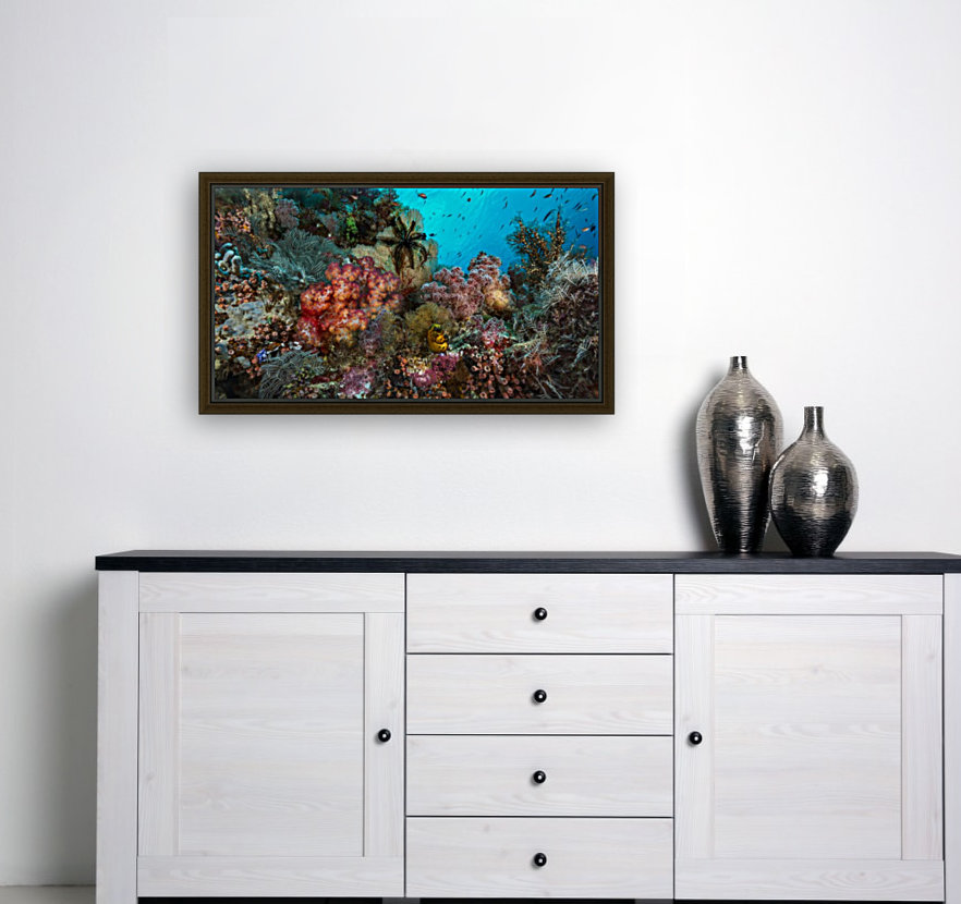 reef 02 Reproduction