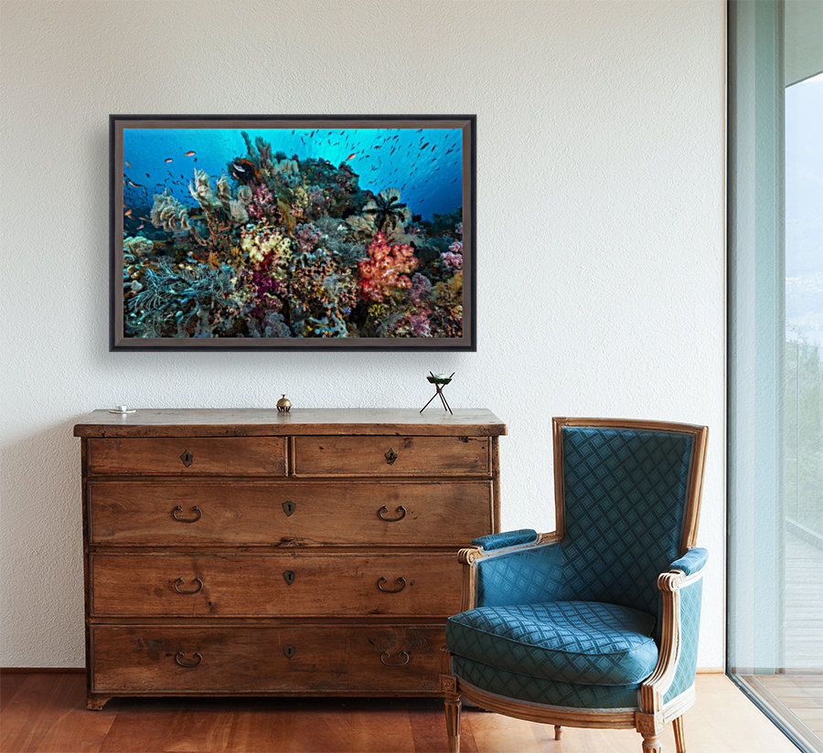 reef 01 Reproduction