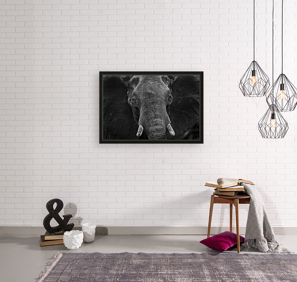 elephant 03 Reproduction