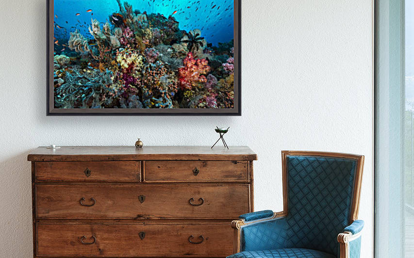 reef 01 by Sylvain Girardot
