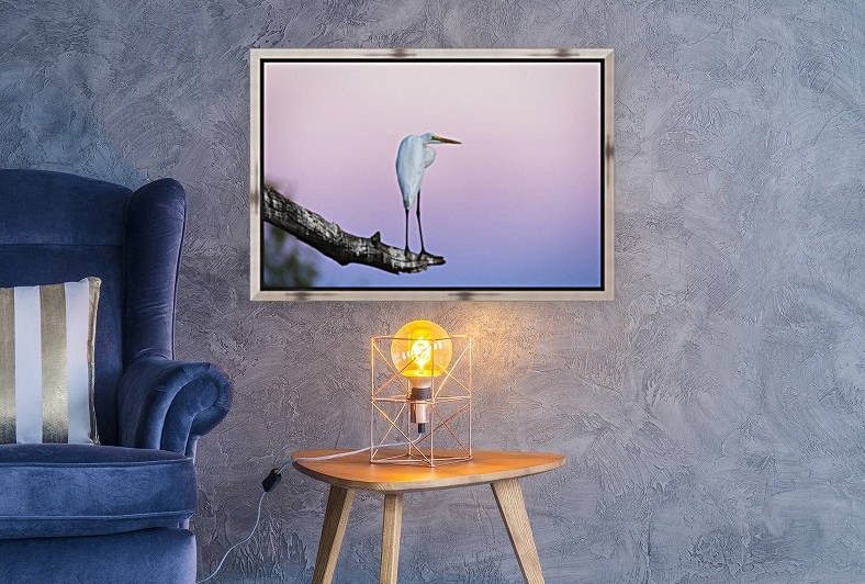 Great egret 02 by Sylvain Girardot