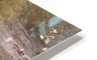 elephant 02 HD Metal print