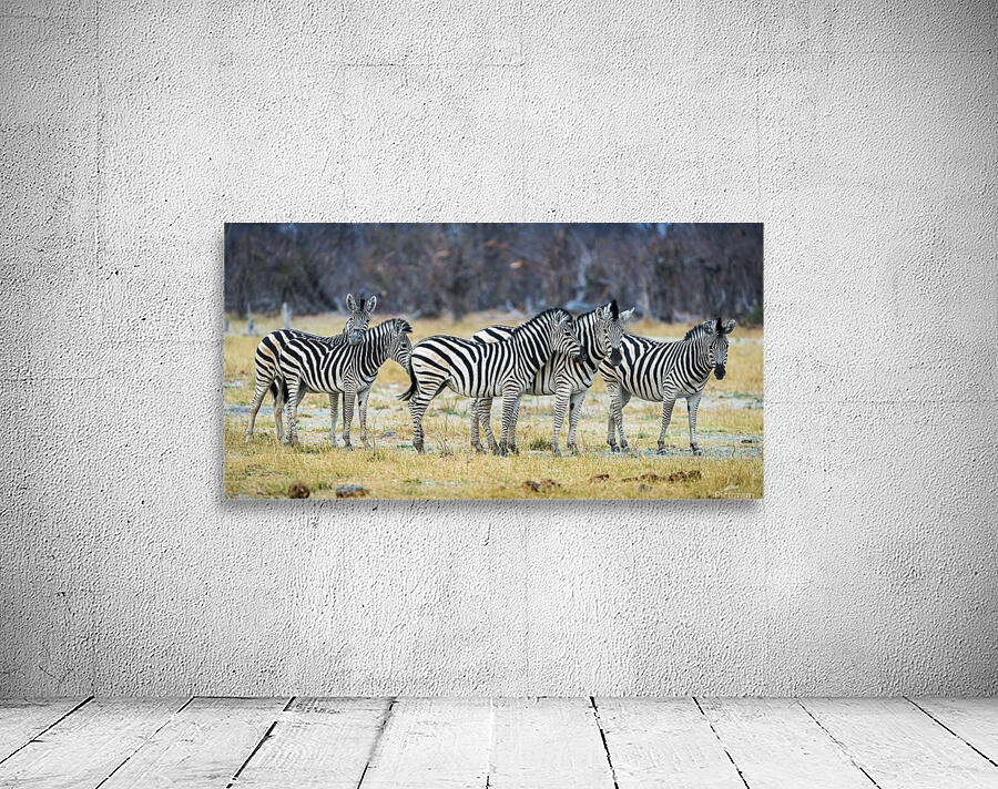 zebra 01 Wall Preview