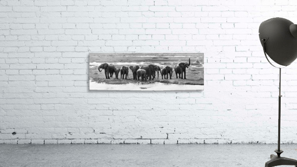 elephant 01 Wall Preview