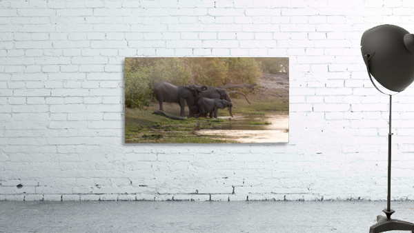 elephant 02 Wall Preview