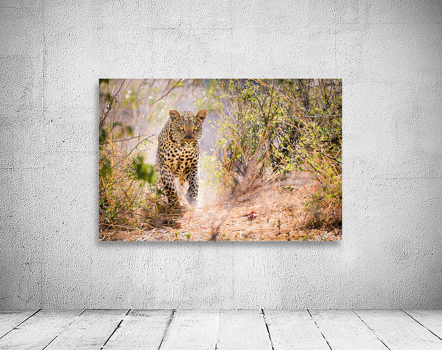 leopard 01 Wall Preview