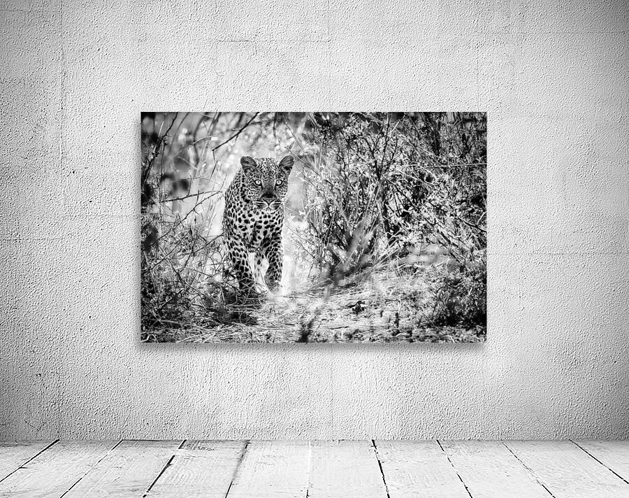 leopard 02 Wall Preview