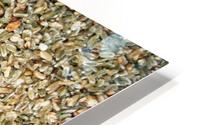 Seeds HD Metal print
