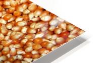 Corn HD Metal print