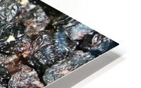 Dried prunes HD Metal print