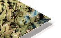 Green HD Metal print