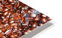 Coffee seeds HD Metal print