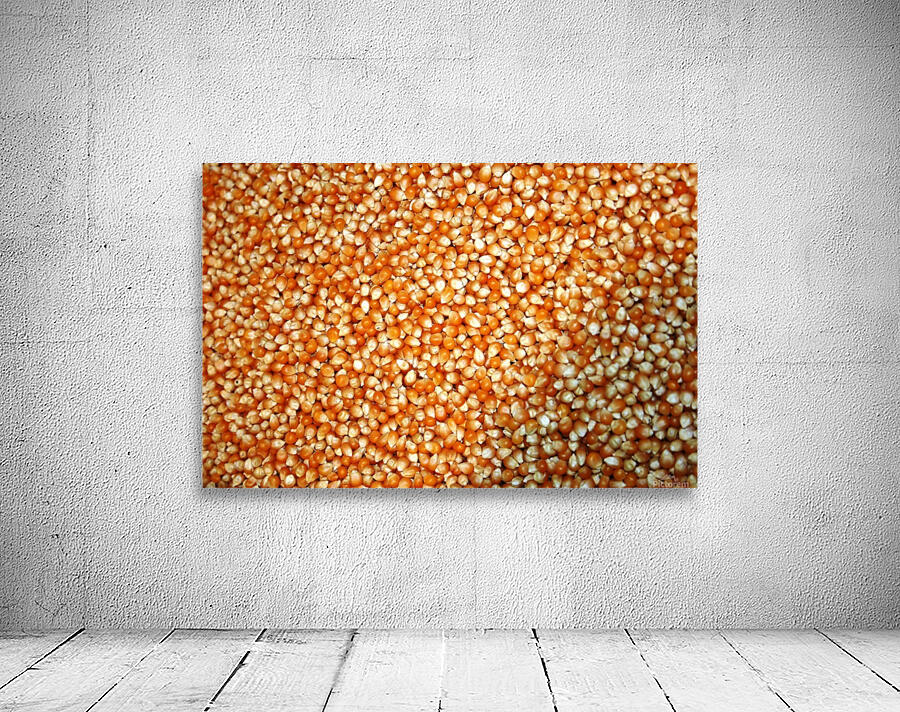 Corn Wall Preview