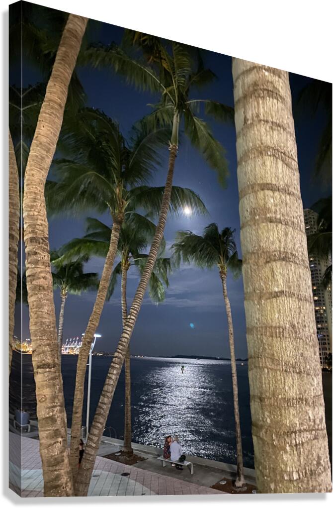 BAYFRONT MIAMI 01 Canvas Print