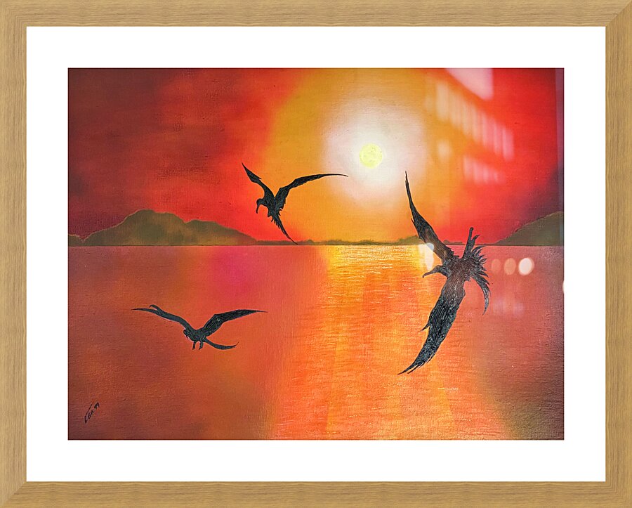 GALAPAGOS BOOBIES FLIGHT Picture Frame print