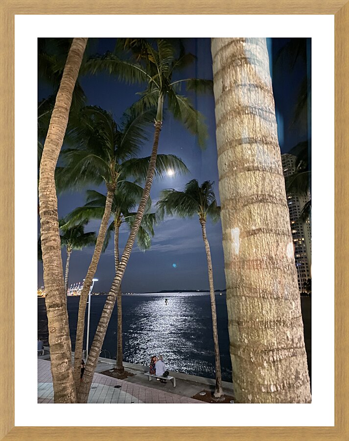 BAYFRONT MIAMI 01 Picture Frame print