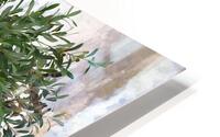 Holy olive tree HD Metal print