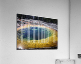 Morning Glory Acrylic Print
