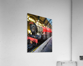 All Aboard Acrylic Print