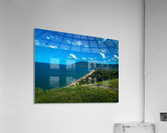Rex Lookout Acrylic Print