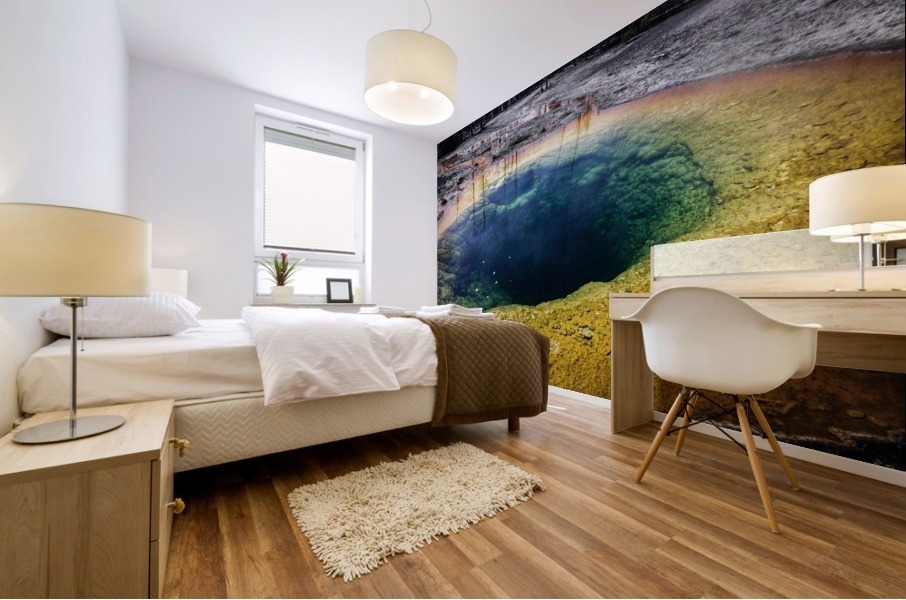 Morning Glory Mural print