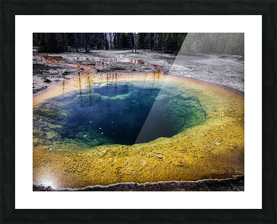 Morning Glory Picture Frame print