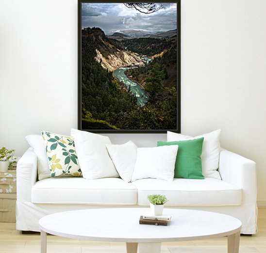 Yellowstone River Reproduction